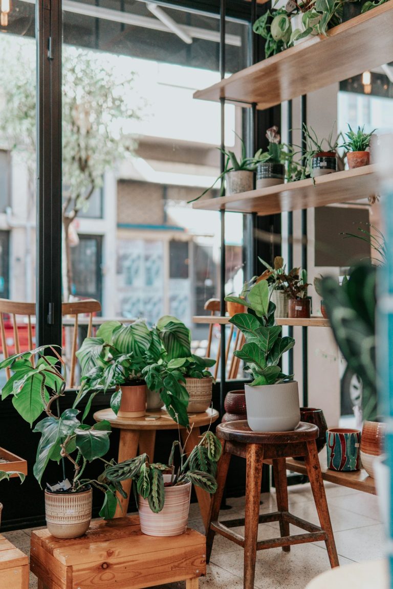How To Renovate Your Kitchen On Budget